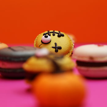 Creazioni Stefano Lorenzoni