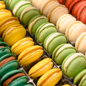 Creazioni Stefano Lorenzoni