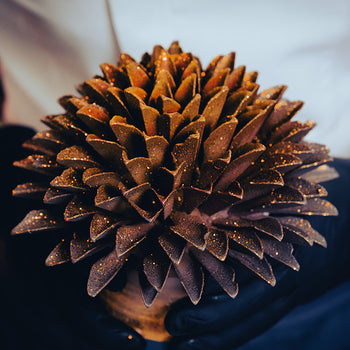 Creazioni Stefano Lorenzoni