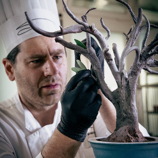 CIOCCOLATERIA: Scoprite il mondo del cioccolato con le mie creazioni uniche